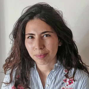 </p>
<p style="text-align: center;">Ferial BELLEHCHILI</p>
<p>
